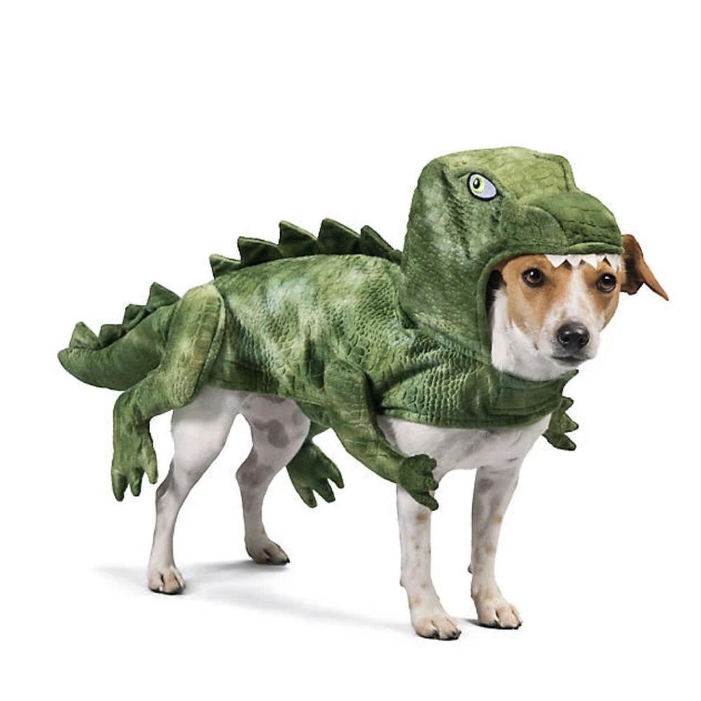 PetSmart Dinosaur dog costume